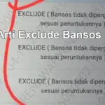 Exclude Bansos Artinya Apa? Kupas Tuntas Penyebab & Cara Mengembalikan Bantuan yang Hilang